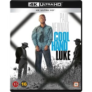 Cool Hand Luke (4K Ultra HD)