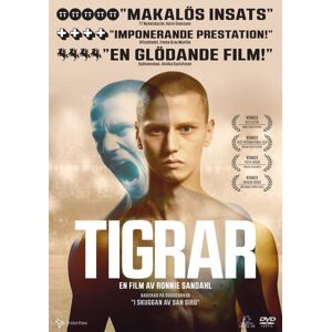 Tigrar