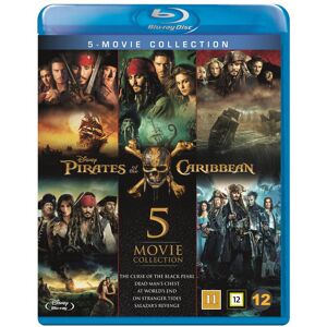 Pirates of the Caribbean 1-5