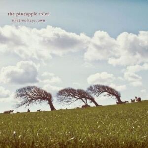 Bengans The Pineapple Thief - What We Have Sown