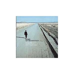 MediaTronixs Echo & The Bunnymen : What Are You Going to Do With Your Life CD Pre-Owned