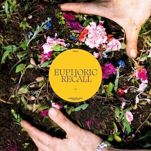 MediaTronixs Braids : Euphoric Recall CD (2023)