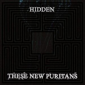 MediaTronixs These  Puritans : Hidden CD (2010)