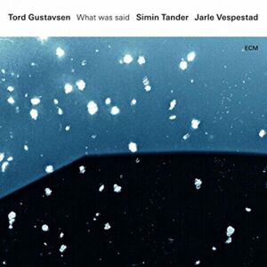MediaTronixs Tord Gustavsen, Simin Tander, Jarle Vespestad : What Was Said CD (2016)