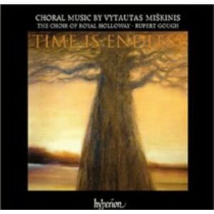 MediaTronixs Vytautas Miskinis : Time Is Endless CD