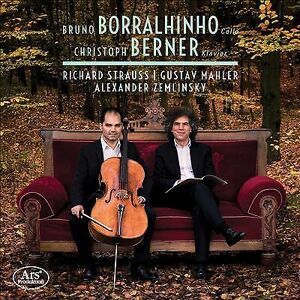 MediaTronixs Richard Strauss : Bruno Borralhinho/Christoph Berner: Richard Strauss/… CD