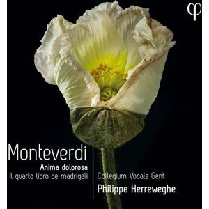 MediaTronixs Claudio Monteverdi : Monteverdi: Anima Dolorosa: Il Quarto Libro De Madrigali