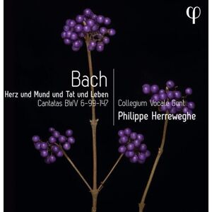 MediaTronixs Johann Sebastian Bach : Bach: Herz Und Mund Und Tat Und Leben: Cantatas BWV