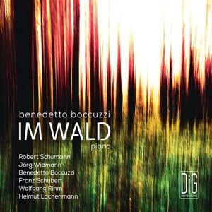 MediaTronixs Benedetto Boccuzzi : Benedetto Boccuzzi: Im Wald CD (2022)