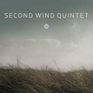 MediaTronixs Second Wind Quintet : Second Wind Quintet CD (2020)