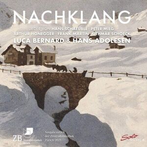 MediaTronixs Hans Schaeuble : Luca Bernard/Hans Adolfsen: Nachklang CD (2021)