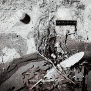 Bengans David Sylvian - Secrets Of The Beehive (180 Gram)