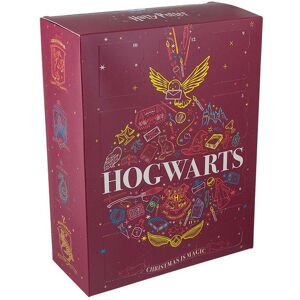 Harry Potter Sok Adventskalender 2021 Flerfarvet