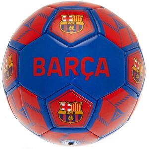 FC Barcelona Fodbold