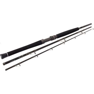 Westin W2 Boat 7'/210cm XXH 30-50lbs/200-600g 3sec