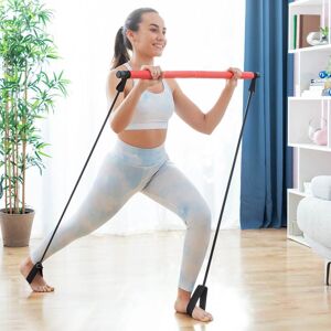 Fitness Bar med Resistance Bands og Motion Guide Resibar InnovaGoods