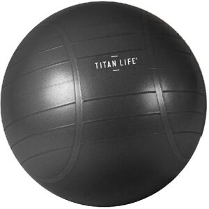 Titan LIFE PRO Gymball 65 cm