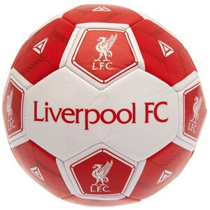 Liverpool FC Hexagon fodbold