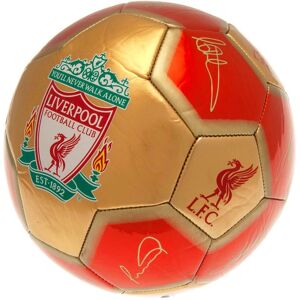 Liverpool FC YNWA Signature Football