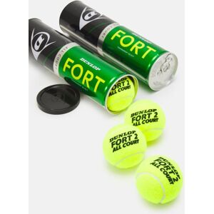 Tennis balls Dunlop FORT ALL COURT TS Premium 4-tin ITF