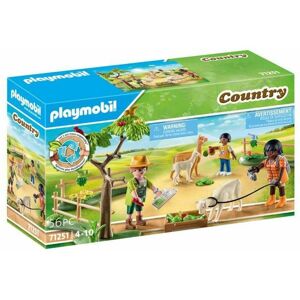 Action Figure Playmobil 71251