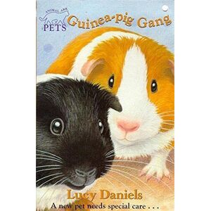 MediaTronixs Animal Ark Pets 8: Guinea-pig Gang: 42 by Daniels, Lucy