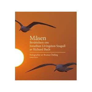 Måsen : berättelsen om Jonathan Livingston Seagull