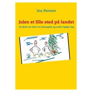 Julen et lille sted på landet