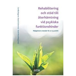 Rehabilitering och stöd till återhämtning vid psykiska funktionshinder : Möjlighetens metoder för en ny praktik