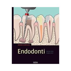 Endodonti