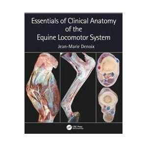 Essentials of Clinical Anatomy of the Equine Locomotor System