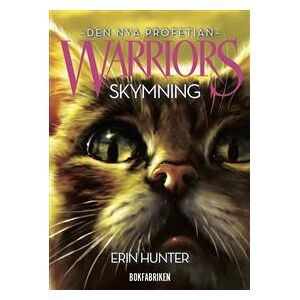 Warriors 2. Skymning