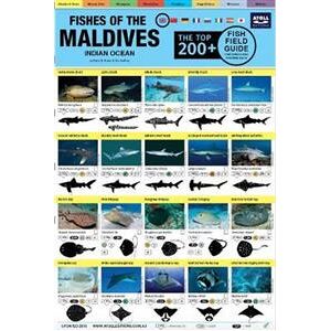 Maldives Fish Field Guide 