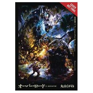 Overlord, Vol. 11 (light novel)