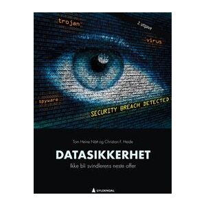 Datasikkerhet: ikke bli svindlerens neste offer