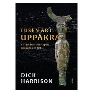 Tusen år i Uppåkra : En järnåldersmetropol uppgång och fall