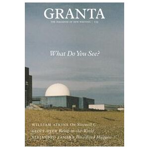 Granta 159: What Do You See?