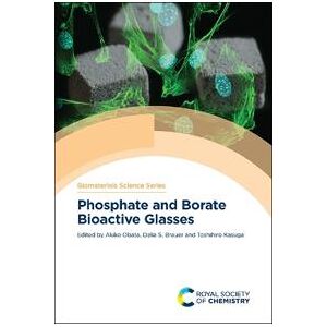 Phosphate and Borate Bioactive Glasses