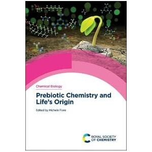 Prebiotic Chemistry and Life's Origin