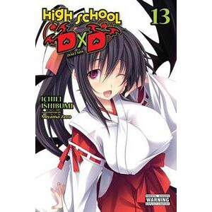 High School DxD, Vol. 13 (light novel)