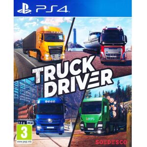 Sony Truck Driver Playstation 4 PS4