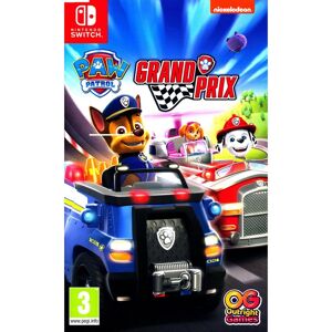 Paw Patrol Grand Prix Nintendo Switch