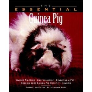 MediaTronixs The Essential Guinea Pig (Essential Guide) (T… by Betsy Sikora Siino