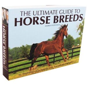 MediaTronixs The Ultimate Guide to Horse Breeds