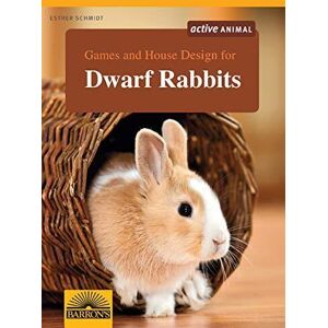 MediaTronixs Games and House Design for Dwarf Ra…, Schmidt, Esther