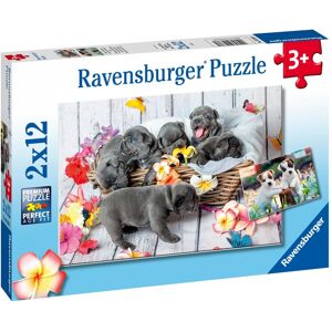 Small Fur Balls Pussel 2x12 bitar Ravensburger