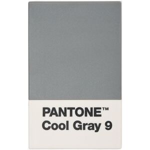 Pantone 