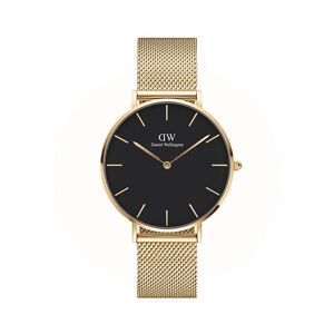 Daniel Wellington Dameur 36MM Petite Evergold ADW00100345