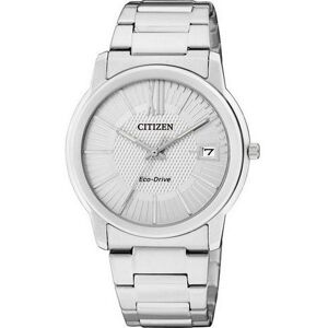 Citizen Eco-Drive FE6010-50A Dameur