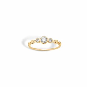 9 Karat Guld Ring fra Blossom 09621392